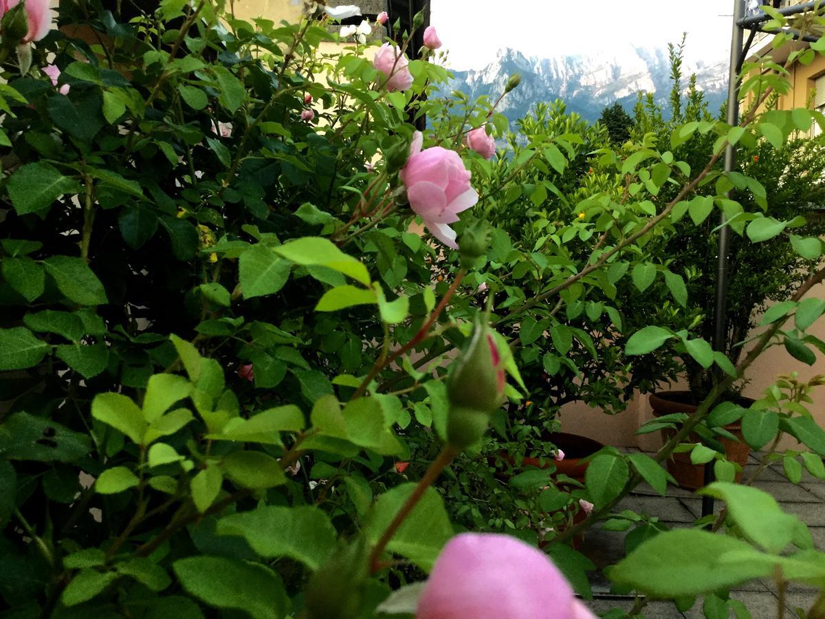 B&B Pescarenico Леко Екстериор снимка