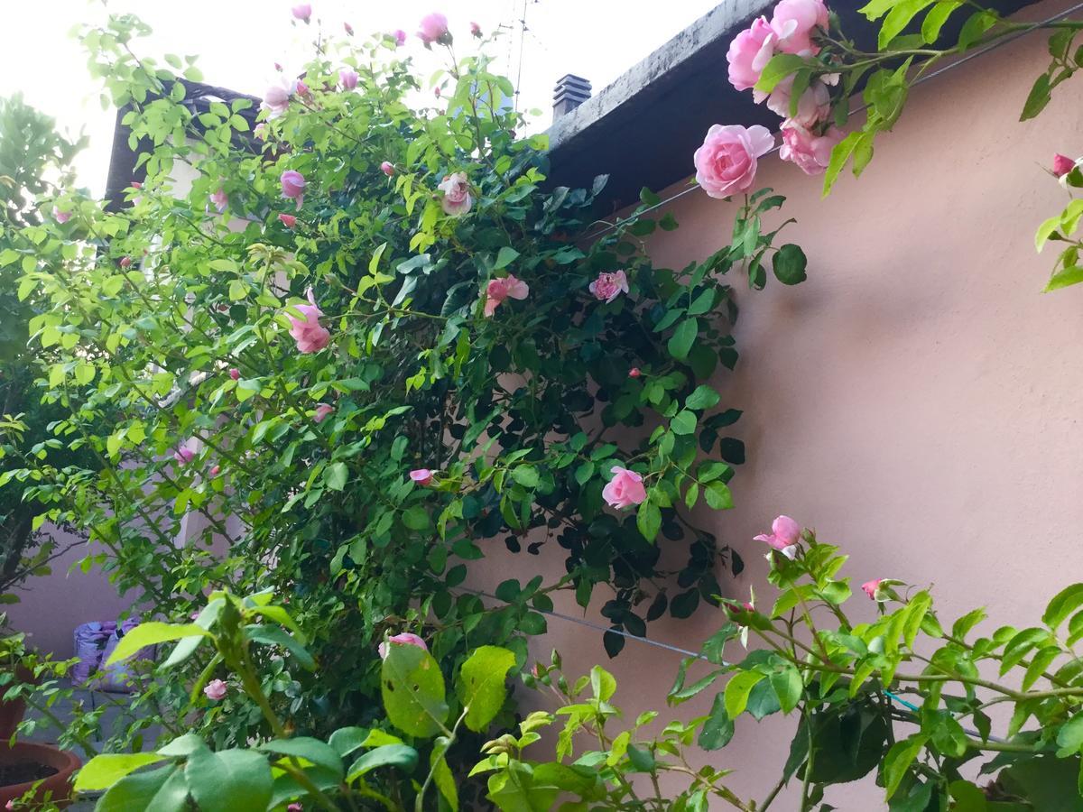 B&B Pescarenico Леко Екстериор снимка
